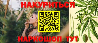 гидра Владивосток