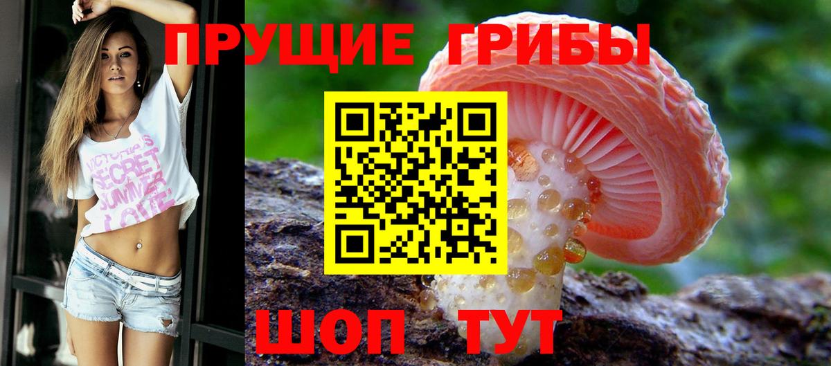 Тимашёвск  Псилоцибиновые грибы MAGIC MUSHROOMS  Вход с VPN 